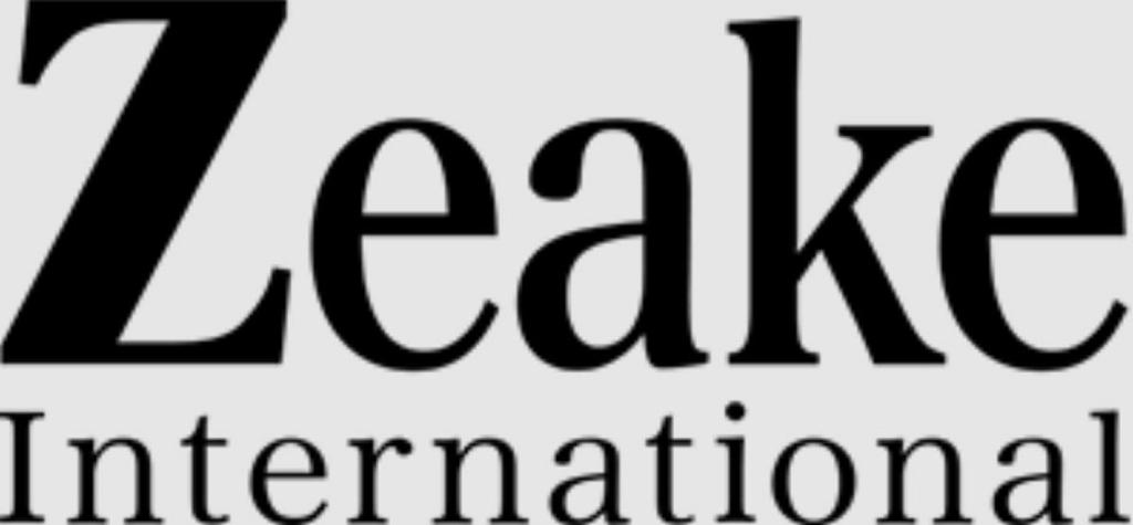 Zeake Metal Jig S Bit 20 Grams 02 (1038)