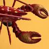 Yousheng Simulated Lobster Refrigerator Magnet Movable Joints Realistic Home Office Kitchen Locker Fridge Magnetic 3D Crayfish Decoration Ornament
