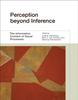 The Perception Beyond Inference : The Information Content of Visual Processes Book