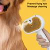 Cat Steam Brush 3-in-1 Pet Hair Removal Steamy Brush for Shedding Pet Grooming Massage Comb for Long/Short Hair Dogs Cats