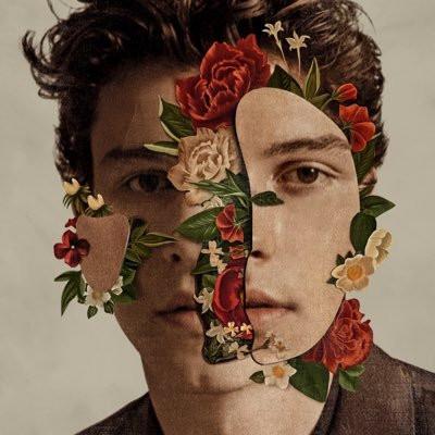CD SHAWN MENDES Shawn Mendes 00602567550891 ISLAND 2018 Europe Pop Used