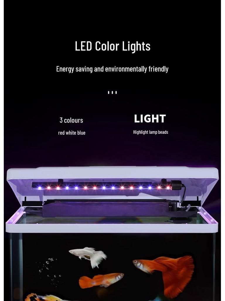 2024 Настольный прямоугольный стеклянный аквариум - Экологичный, Легкая смена воды, Идеально подходит для гостиной и маленьких золотых рыбок