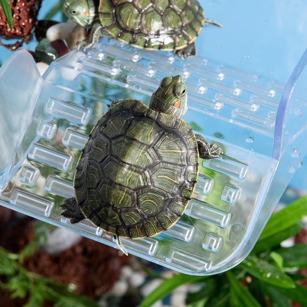 With Ramp Suction Cups Hanging Turtle Platform Reptile Amphibian
