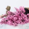 Искусственные цветы Baby's breath Цветы вишни Гипсофила Поддельные цветы Ветка Свадьба Домашний декор Цветочная композиция