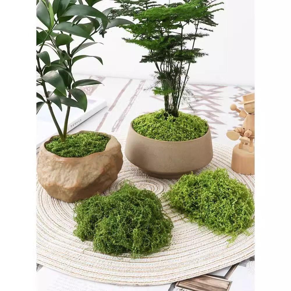 1 компл.. украшения, микропейзаж, имитация мха, цветов, мха, искусственная трава, искусственный зеленый мох