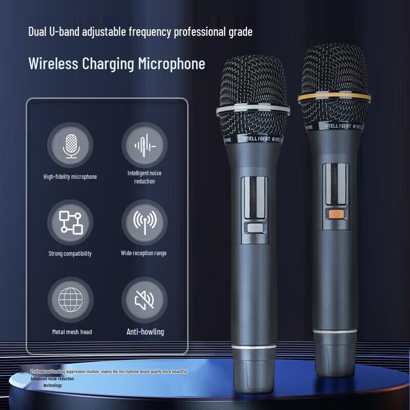 Saikyo V89 Home KTV Karaoke Audio System