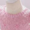 European & American Baby Girl Lace Mesh Princess Birthday Dress