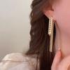 Zinc Zinc Alloy Niche Design Tassel Women Earrings Korean Style Dangle Earrings Ear Drop Stud Earrings
