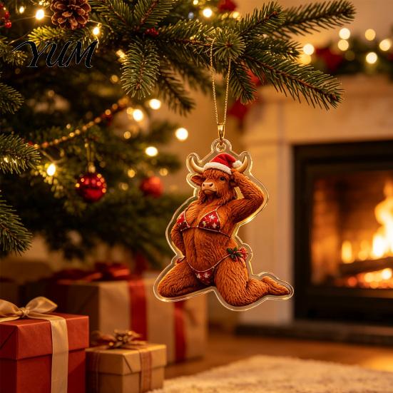 Novelty Christmas Tree Accessories 5 Pcs Quirky Bikini Ornament, Funny 2D Acrylic Santa Claus Horse Clear Printed Baubles Dachshund Highland