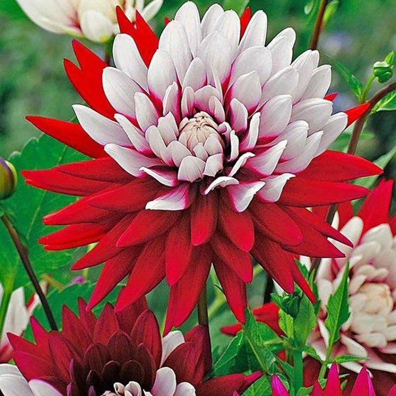 DIY 5D алмазная живопись ваза для цветов, набор для вышивки крестом, полная дрель, вышивка мозаикой, вышивка крестиком, цветочная роза, подарок из смолы, домашний декор