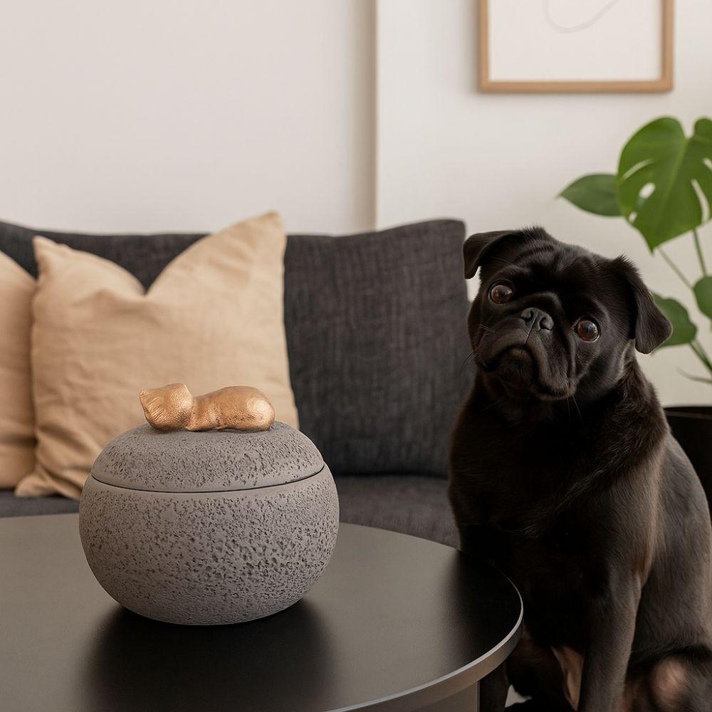 Пылезащитная Мемориальная урна для питомцев Водонепроницаемые кремационные урны Портативный контейнер для праха питомца Подарок сочувствия