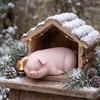 Современная фигурка спящей свиньи из смолы для декора дома Минималистичное животное Для скульптуры для Внутреннего Наружного Декорирования