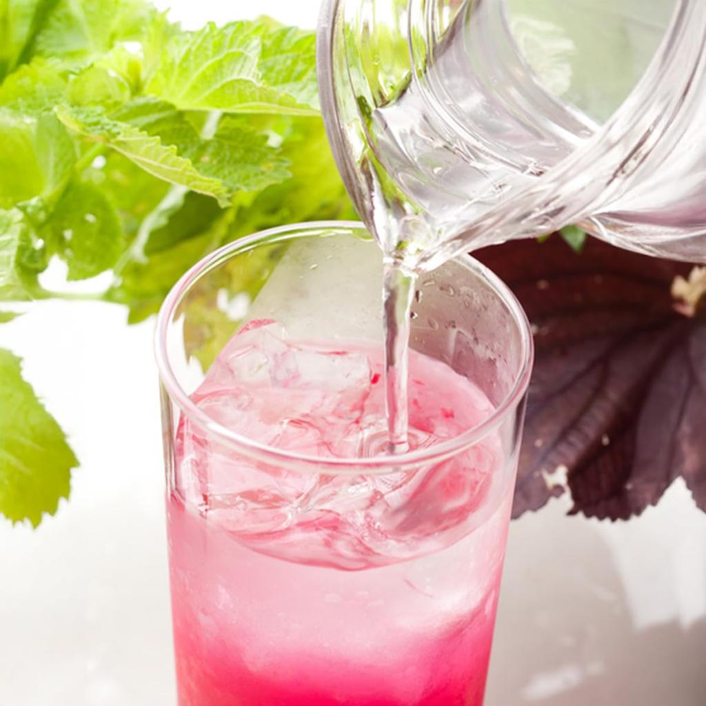Ume Ka Kishu Plum Vinegar Shiso Ume Vinegar PET Bottle Citric Acid 2-Pack
