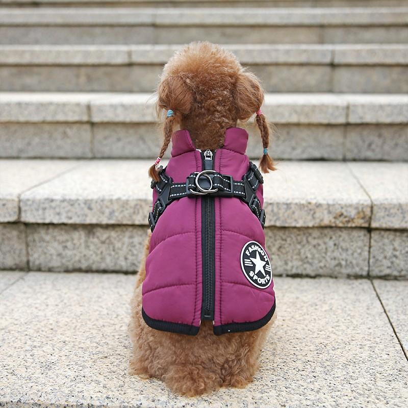 Adjustable Dog Harness Vest With Leash Attachment Small Medium Dogs Winter Fall Use