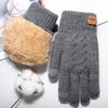 Новые двухслойные утолщенные плюшевые зимние перчатки с сенсорным экраном, холодостойкие и теплые плюшевые мужские вязаные перчатки