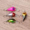 Lure Bait Bass Perch Mini Micro Hard Fishing Lure Floating Fishing Lure Artificial Lure