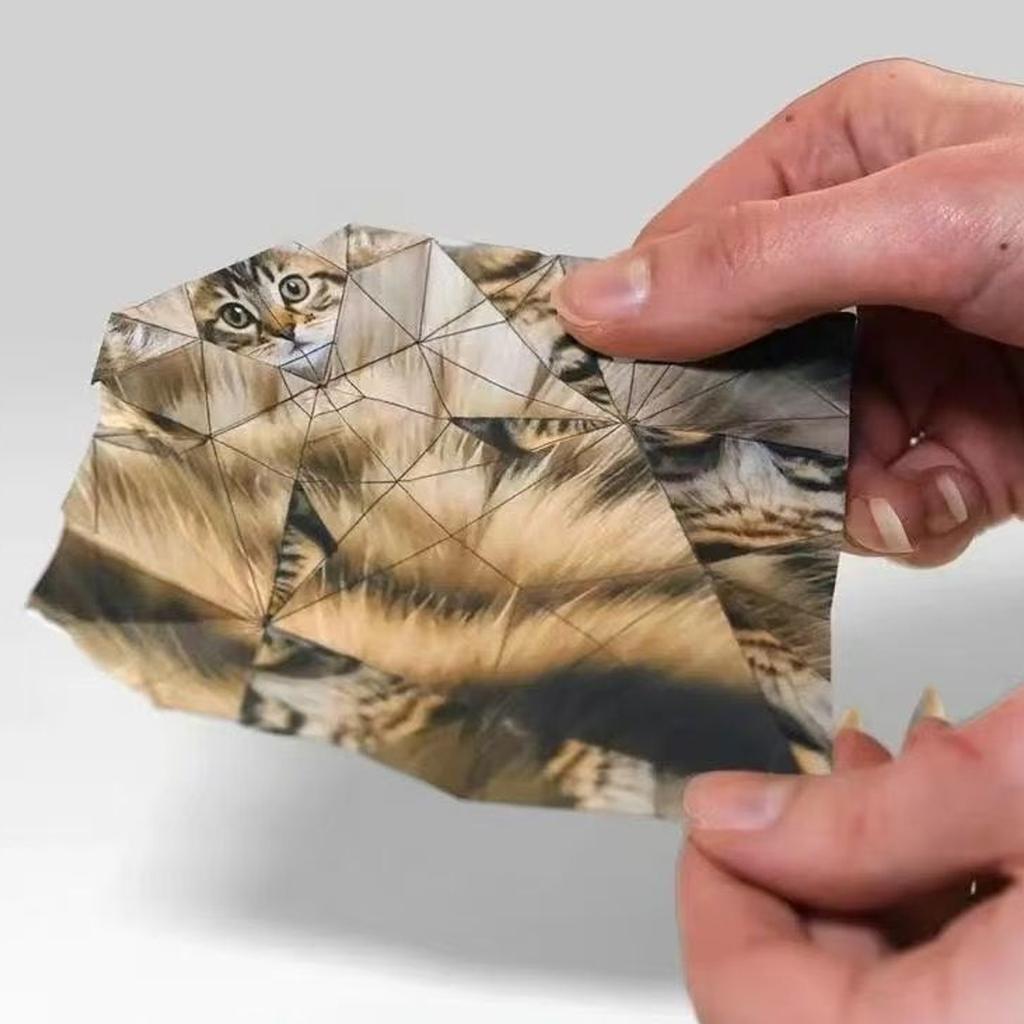 50 Sheets Diy Origami Paper Cats 5 Breeds Fun Handmade Folding Paper Set Cute 3D Desk Decor Toy For Kids Adults Beginners Gift