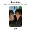 Stray Kids Мировой тур dominATE СЕУЛ ЗОНА ПРЕБЫВАНИЯ Официальная фотокарточка