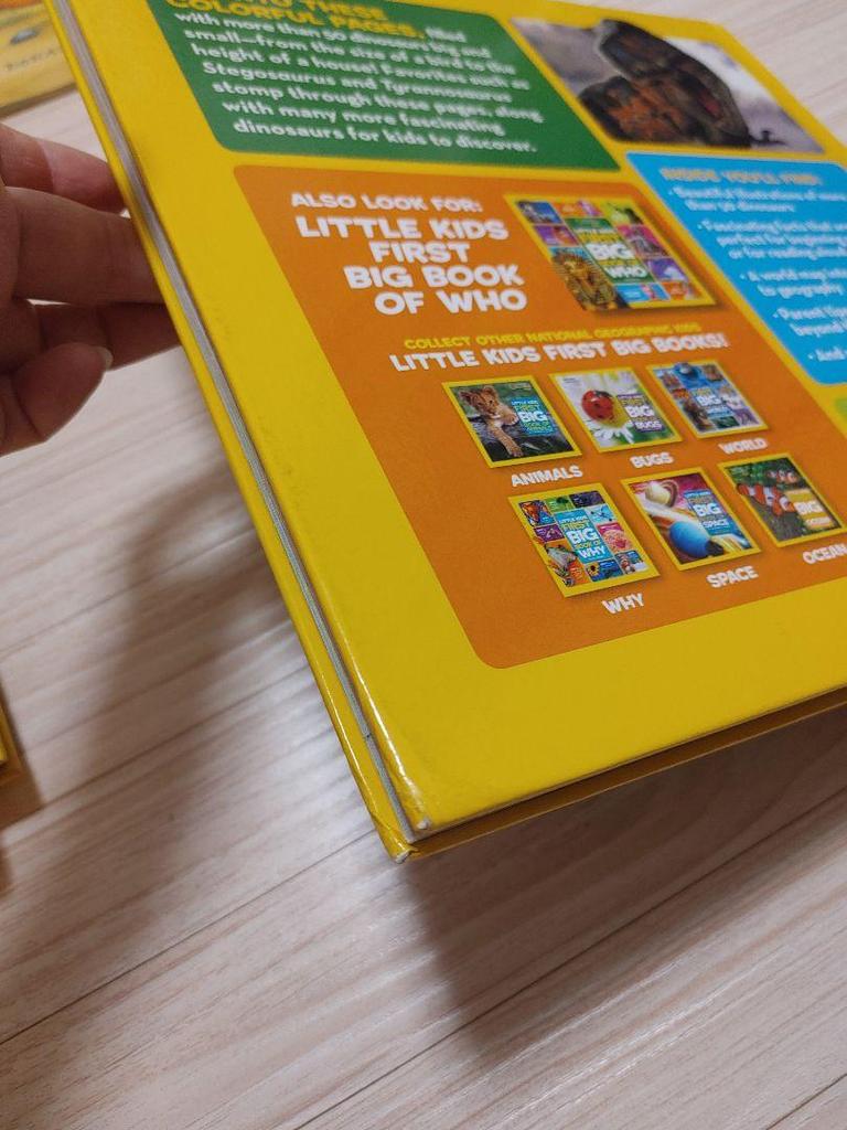 [USED] Foreign Books Picture Book Set: ZOG, Dinosaurs, etc.