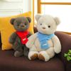 New Scarf Bear Plush Toy Cartoon Skin-friendly Hug Bear Companion Doll Doll Give Girls and Children Gifts