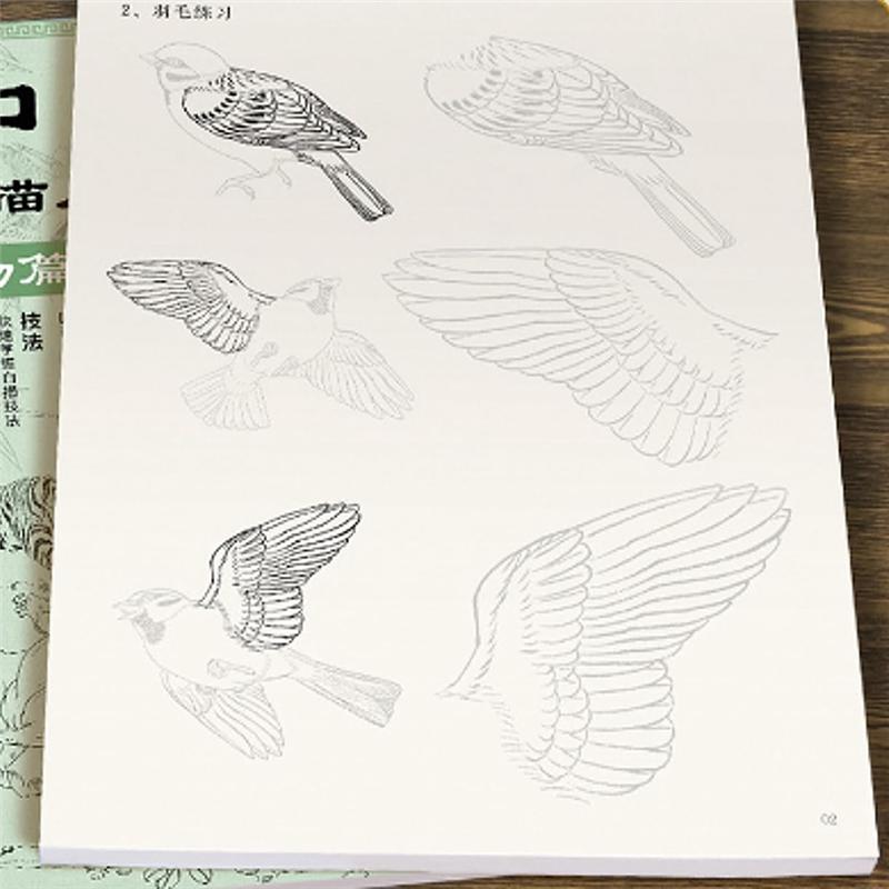 A89X 4 шт./комплект Введение в китайскую живопись и Белая рисовальная книга для цветов, животных, пейзажей. Для начинающих