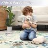 Non-Slip Indoor Door Mat Washable Small Kitchen Rug Butterfly Entryway Rug  for Bathroom Bedroom