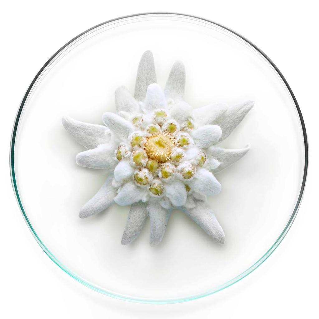 UV Expert Clear N 50ml Sunscreen Makeup Base UV Base SPF50 LANCÔME PA++++