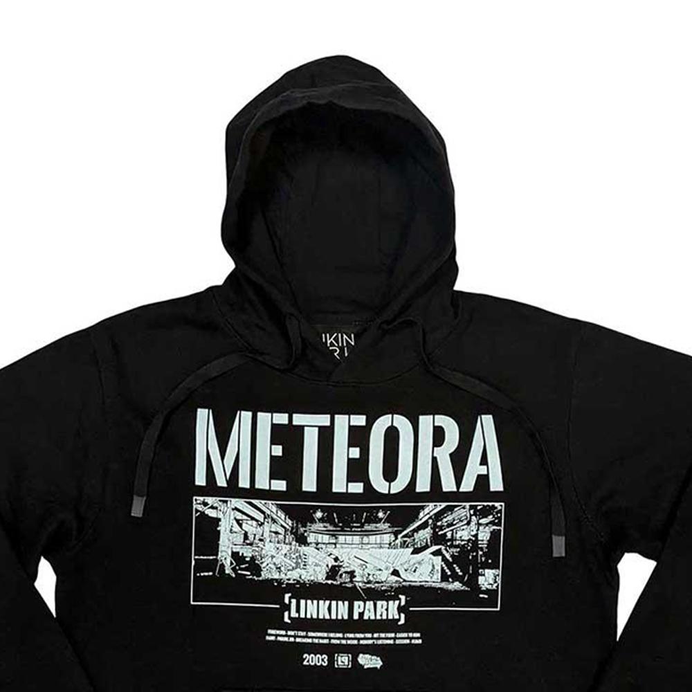 Толстовка Linkin Park унисекс для взрослых Meteora Wall Art