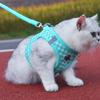 Breathable Pet Chest  Vest Comfortable Cat Chest Strap Creative Dog Harness Leash  Kitten