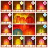 Handmade Paper Lamp Ball Luminous Mid Autumn Festive Lanterns Round Paper Lanterns  Party Supplies