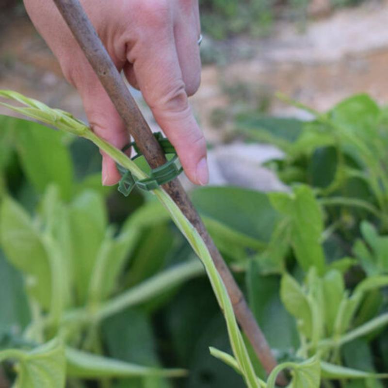 100 шт., зажимы для растений, пряжка, крючок, пластиковые опоры, соединяет многоразовый держатель, садовые принадлежности для овощей, помидоров