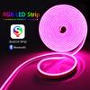 Smart Bluetooth App Control RGB LED Lights Strip 12V Flexible Tube Ribbon Lamp with 24 Keys Remote Control Home Decor Lighting