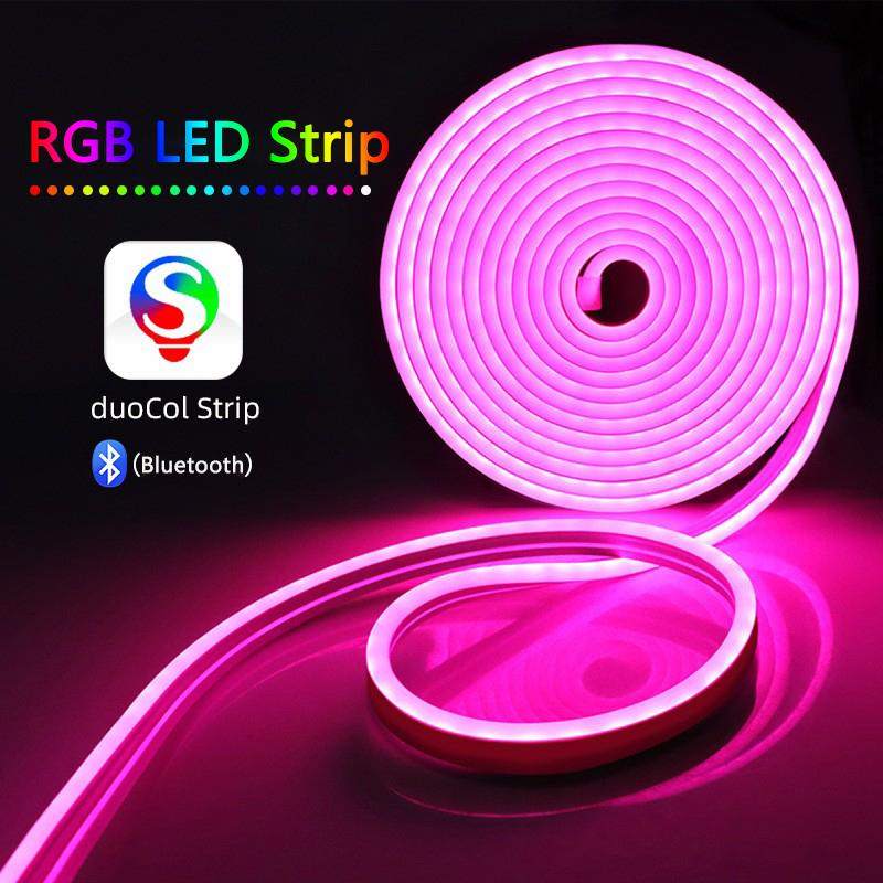 Smart Bluetooth App Control RGB LED Lights Strip 12V Flexible Tube Ribbon Lamp with 24 Keys Remote Control Home Decor Lighting