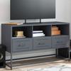 VidaXL TV Cabinet Anthracite 100.5x39x60.5 Cm Steel, TV Stand, TV Buffet, Multimedia Cabinet, TV Bench, Hi-fi Cabinet, Center 846544