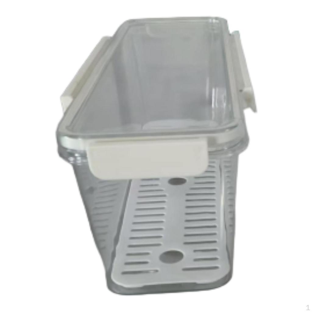 Pasta Container Food Keeper Clear Sturdy with Lid Noodle Holder Spaghetti Storage