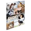 Herma Elasticated Cardboard Folder A3 Animals (Dogs)