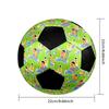 Sesame Street2 Soccer Ball Colorful All Ages Machine Stitched PVC Competition Ready Durable High-Bounce.SIZE5
