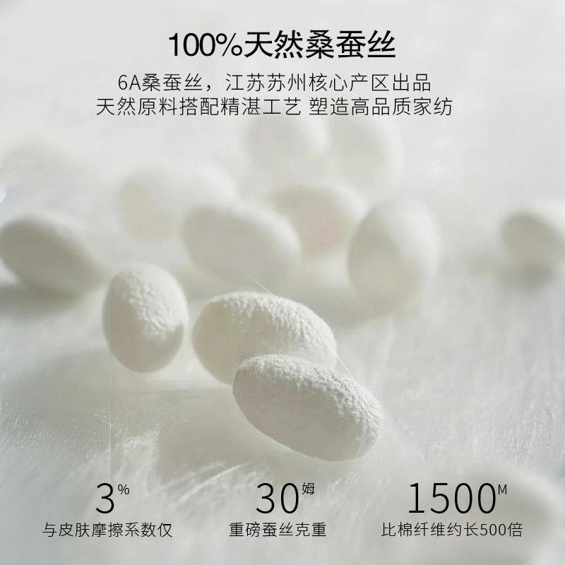 Silk Pillowcase Set 48x74cm 40mm 6A Grade Mulberry Anti-Mite Hypoallergenic Luxury Sleep Comfort