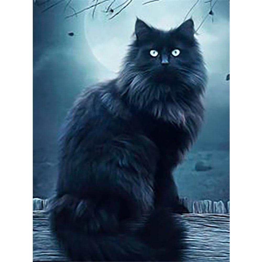 5D DIY Алмазная вышивка Черный кот Полный квадратный круглый набор для рукоделия Алмазная живопись Животное рукоделие Украшение дома