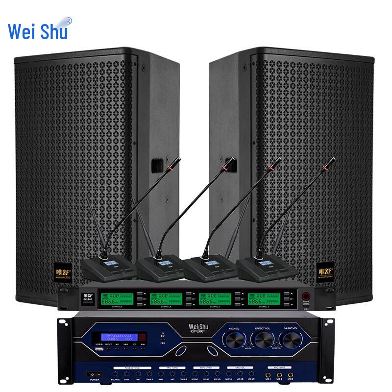 Weishu BM-1010 Professional 10-inch Full-range Conference Audio System (CN version)