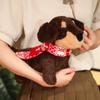 Такса кукла реалистичное забавное животное собака украшение чучело на день рождения девушка любитель собак фестиваль праздник