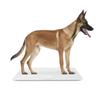 Weight Scale for Large Pet Pet Scale 70x 33 Rechargeable Weight Suitable for Adult Weight Management Dogs, Scale, (size Cm) Scale, Dogs, Cats,