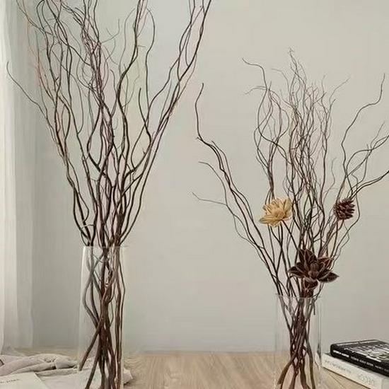 Decorative White Dragon Willow & Mulberry Branches for Windows and Displays