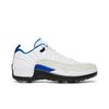 Air Jordan 12 Low Golf Белый Игровой Королевский Мужские DM9015-105