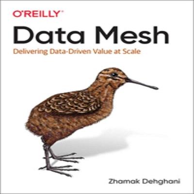 Oreilly Data Mesh в мягкой обложке