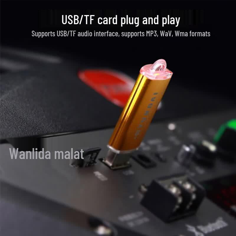 Портативная уличная колонка Malata M+9015C 8 дюймов с микрофоном (Китайская версия)
