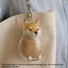Clear Puppy Hair Memorial Keepsake Capsule Pet'S Dog Fur Container Diy Pendant Keychain Decor Pet Lovers Home Display Gifts