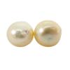 New/Pt900 South Sea White Pearl (cream White Pearl) Earrings/g463-73