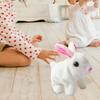 Plush Toy, Interactive Pet for Children's