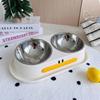 Stainless Steel Elevated Pet Feeder Anti Slip Pet Drinking Bowl with Stand  Neck Protection